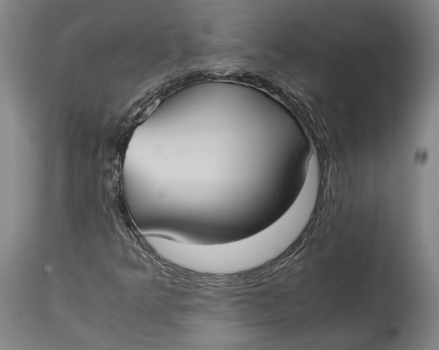 X0000114621349200911101205