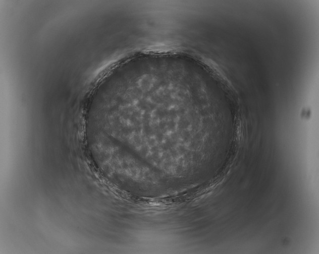 X0000114621350200911101205