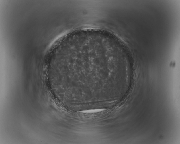 X0000114621351200911101205