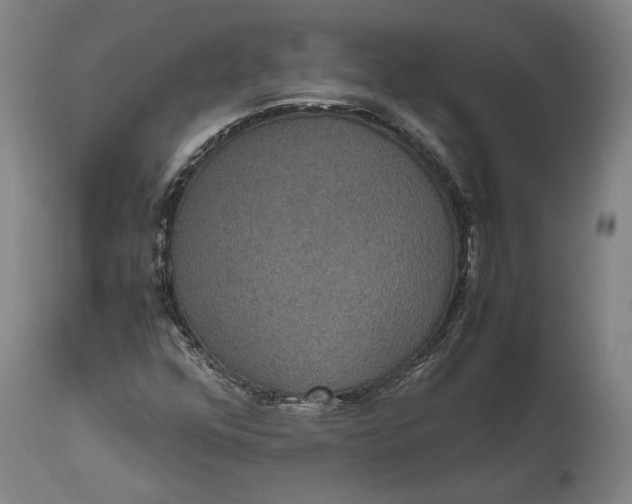 X0000114621352200911101205