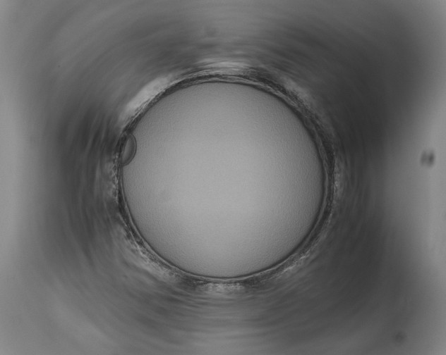 X0000114621354200911101205