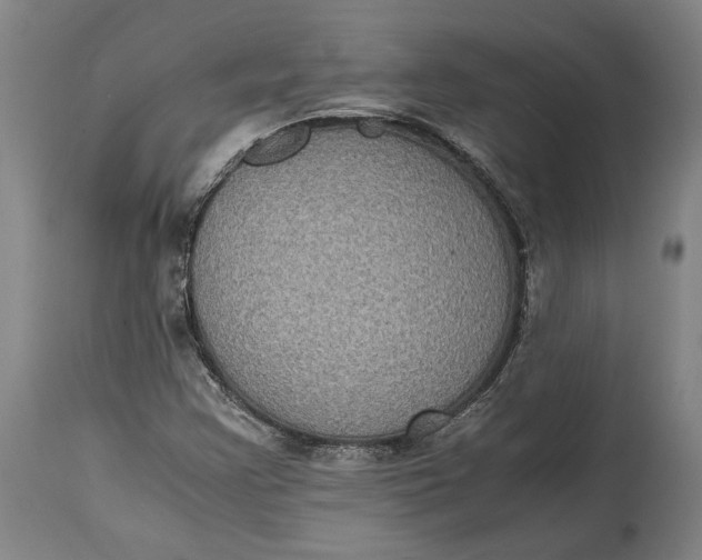 X0000114621355200911101205