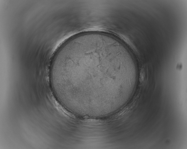 X0000114621356200911101205