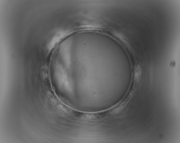 X0000114621357200911101205