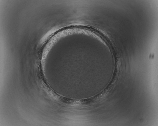 X0000114621359200911101205