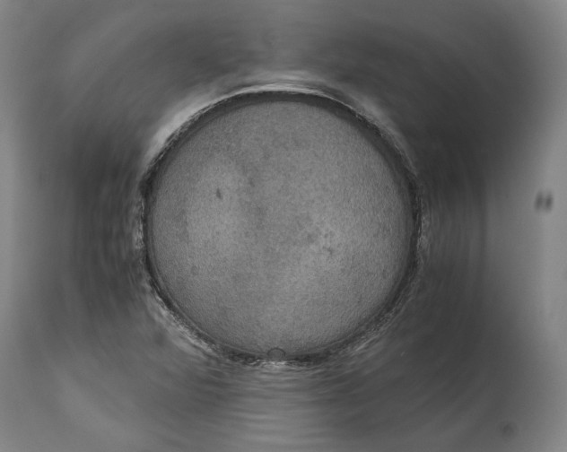 X0000114621360200911101205