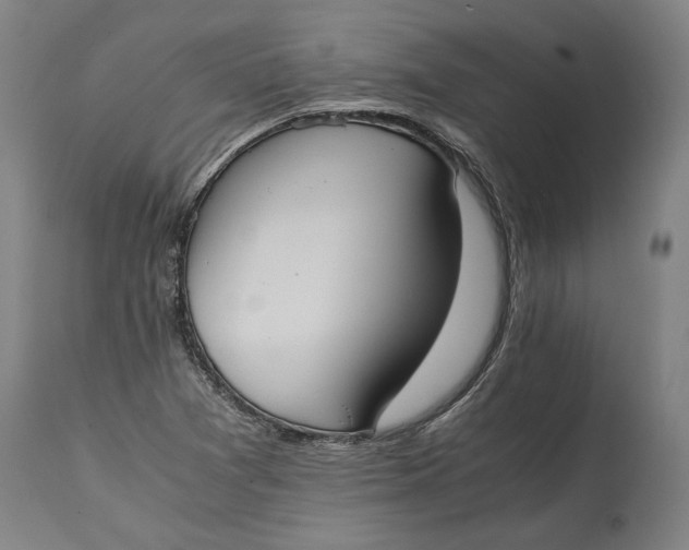 X0000114621361200911101205
