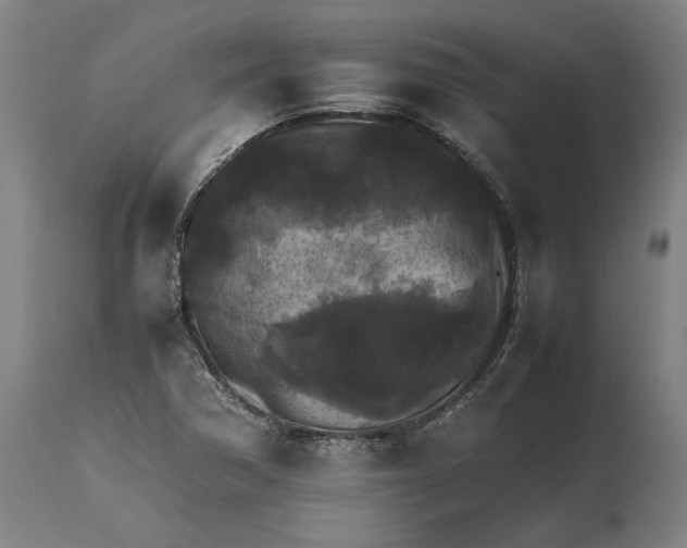 X0000114621362200911101205