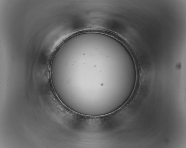X0000114621363200911101205