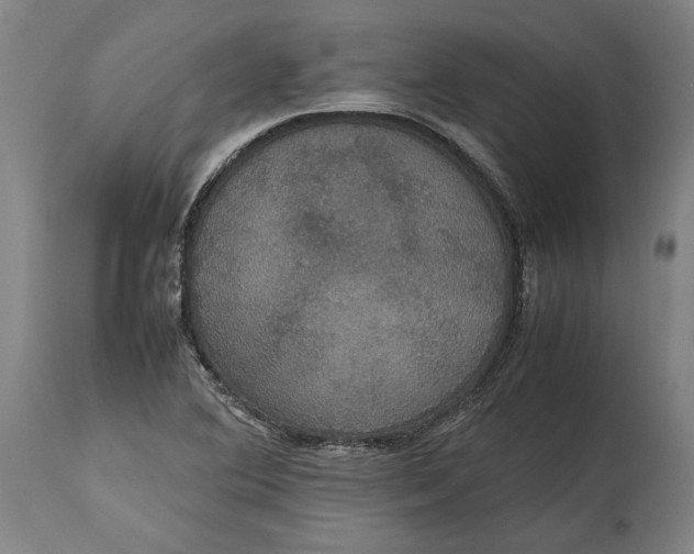 X0000114621364200911101205
