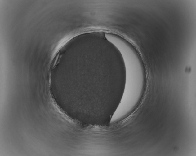 X0000114621365200911101205