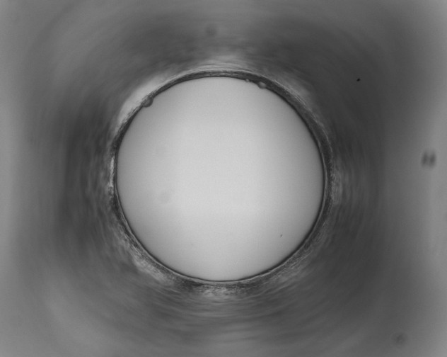 X0000114621366200911101205