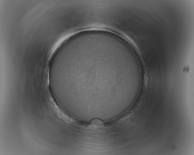 X0000114621368200911101205