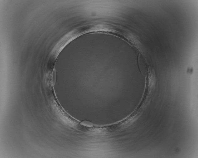 X0000114621369200911101205