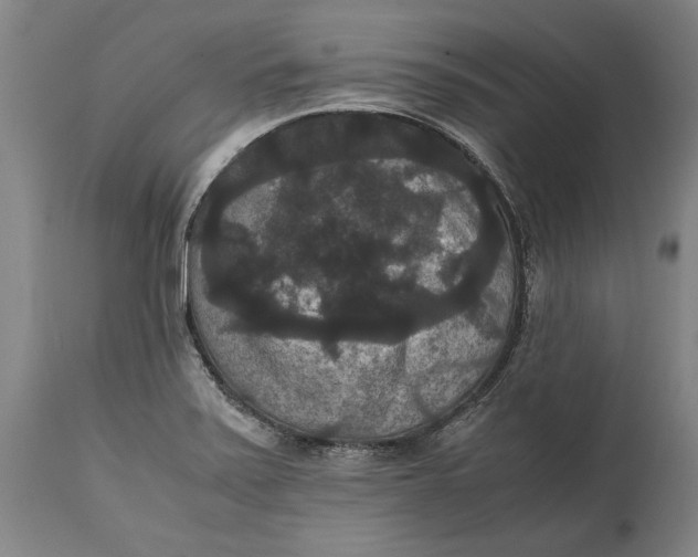 X0000114621371200911101205