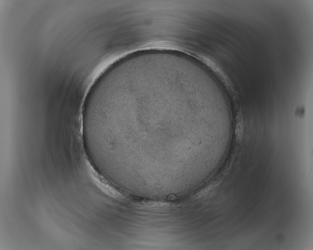 X0000114621372200911101205