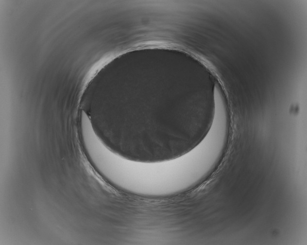 X0000114621373200911101205