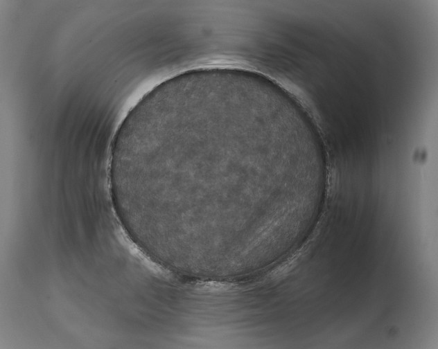 X0000114621374200911101205