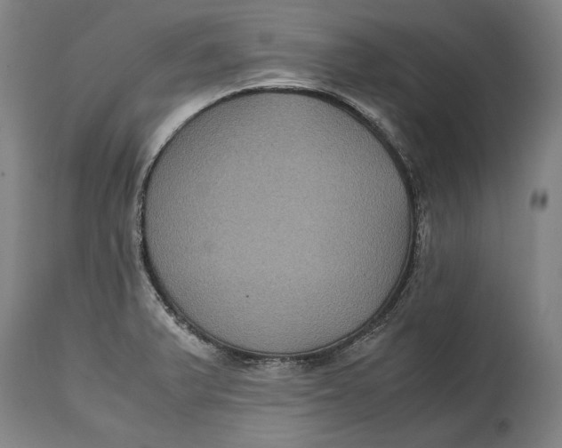X0000114621375200911101205