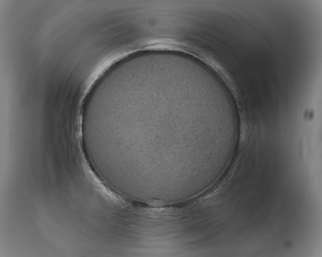 X0000114621376200911101205
