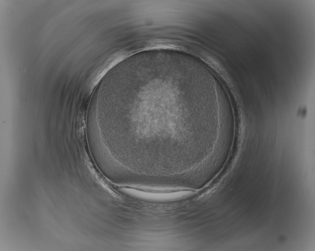 X0000114621377200911101205