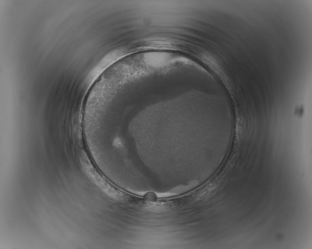 X0000114621378200911101205