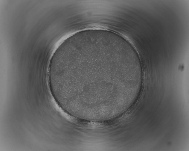 X0000114621379200911101205