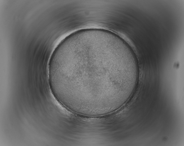 X0000114621380200911101205