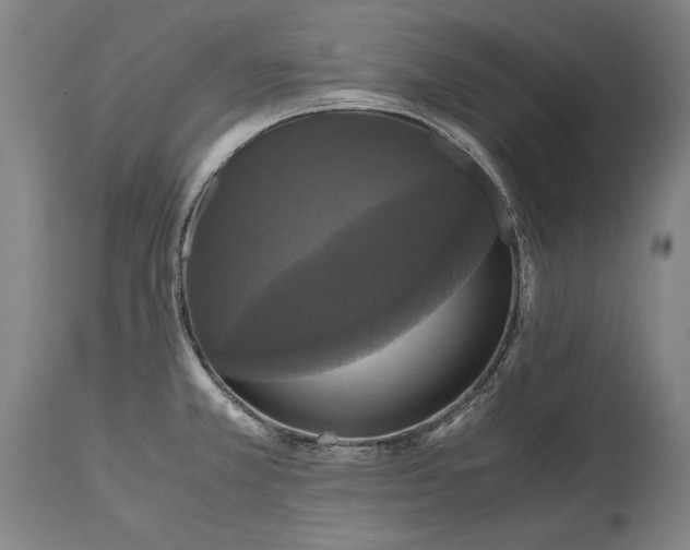 X0000114621381200911101205