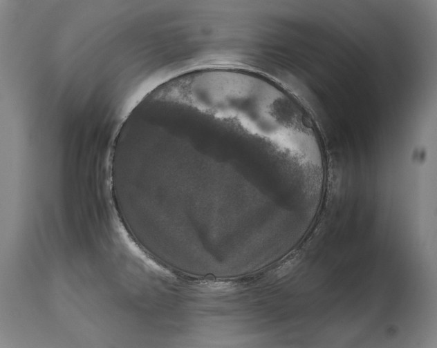 X0000114621382200911101205