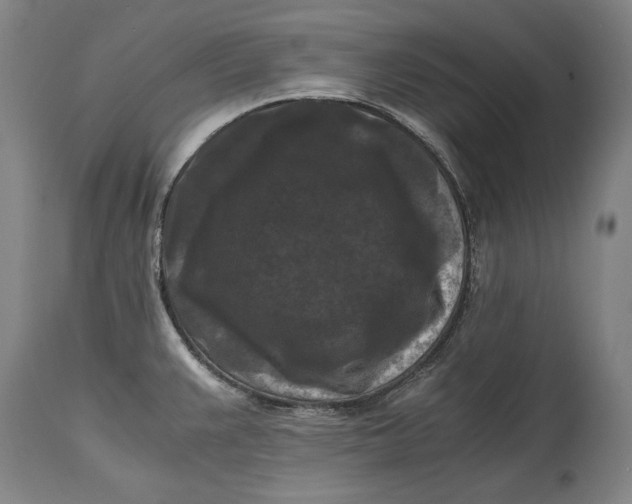 X0000114621383200911101205