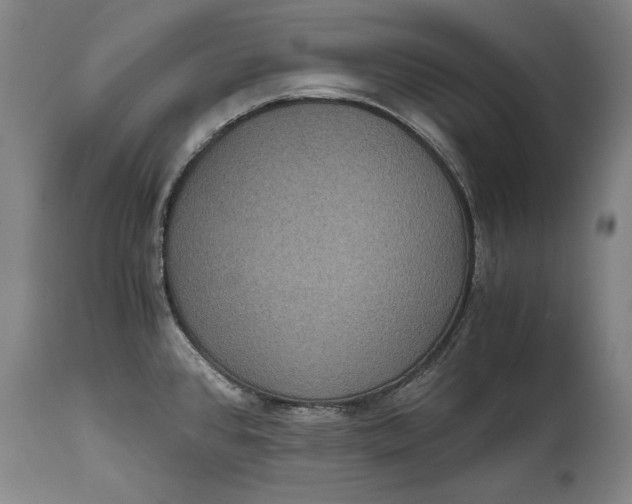 X0000114621384200911101205
