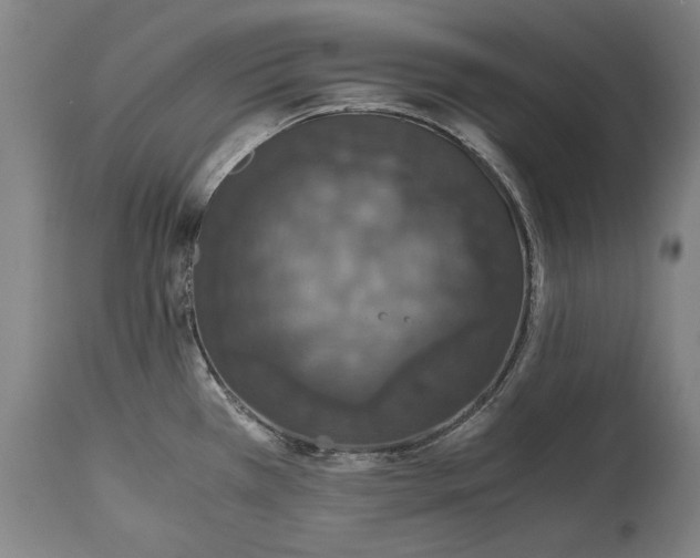 X0000114621385200911101205