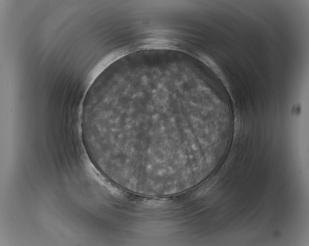 X0000114621386200911101205