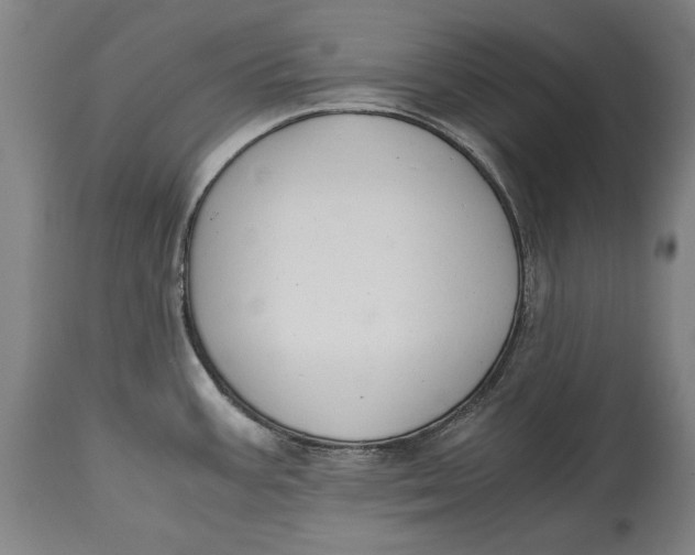 X0000114621387200911101205