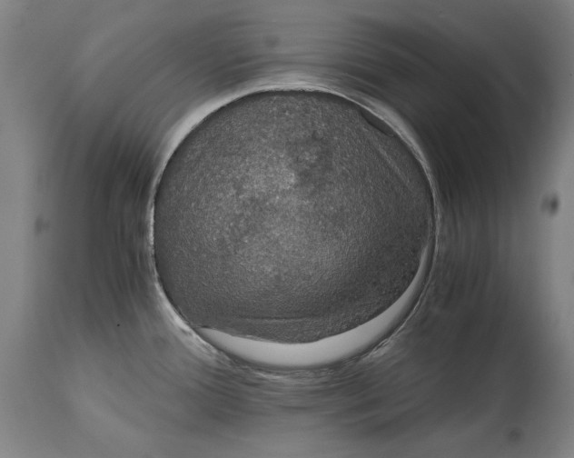 X0000114621388200911101205
