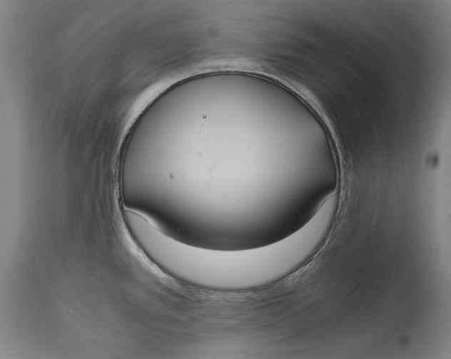 X0000114621389200911101205
