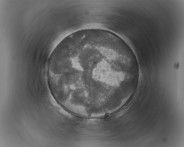 X0000114621390200911101205