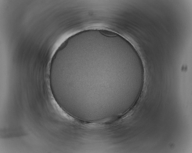X0000114621392200911101205
