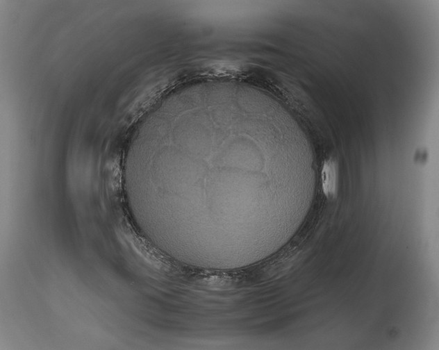X0000114621395200911101204