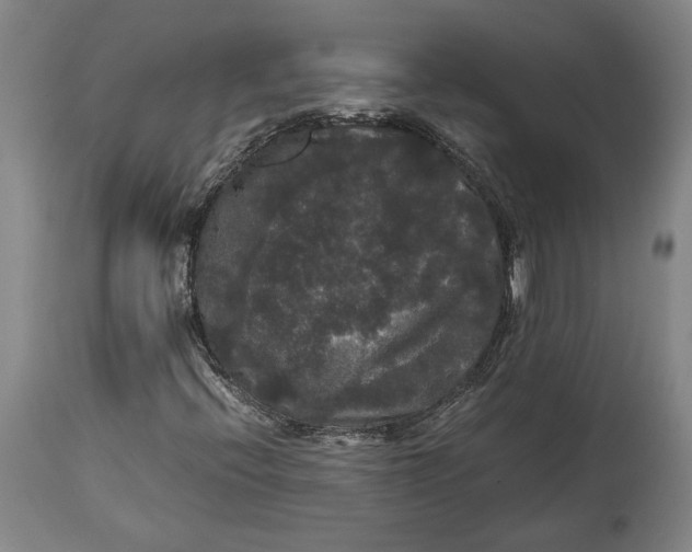 X0000114621396200911101204
