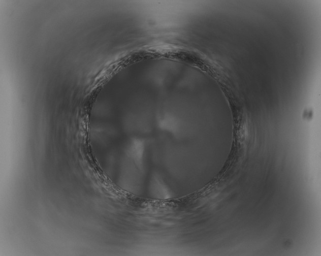 X0000114621397200911101204