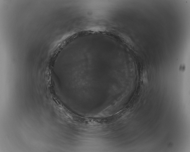 X0000114621398200911101204