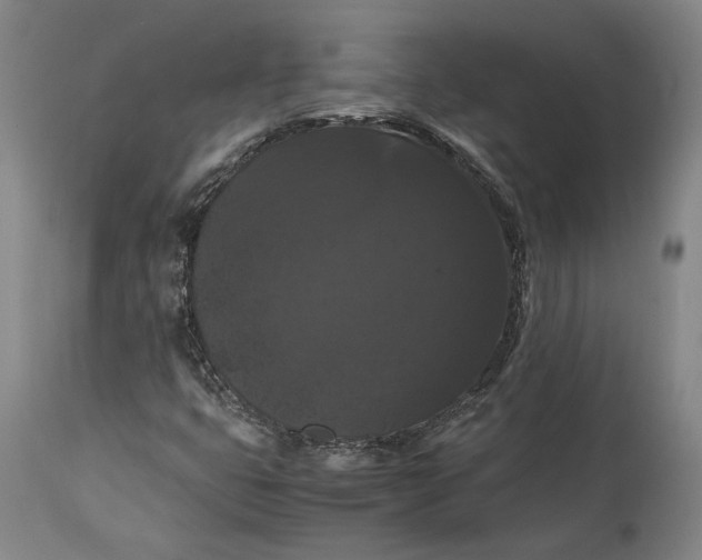 X0000114621399200911101204