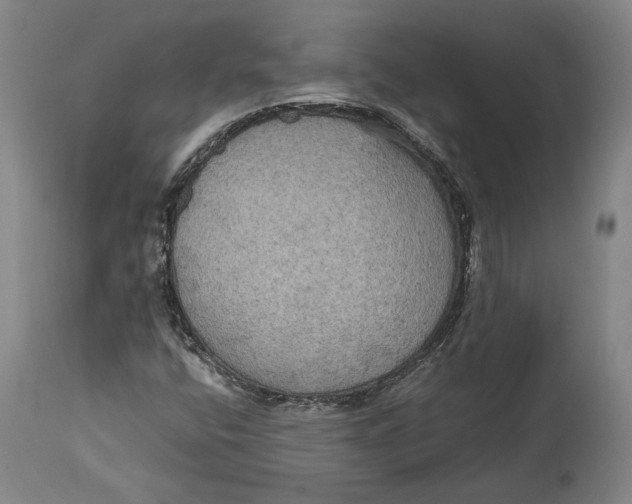 X0000114621400200911101204