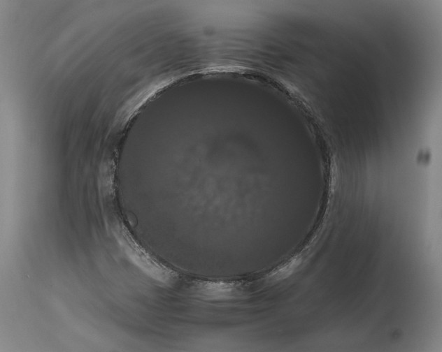 X0000114621401200911101204