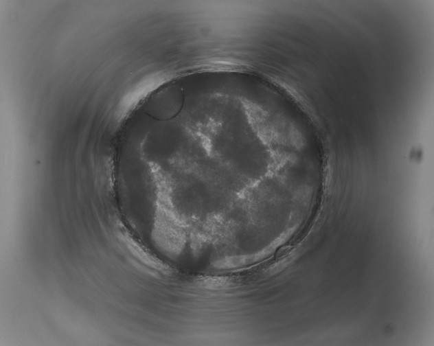 X0000114621402200911101204