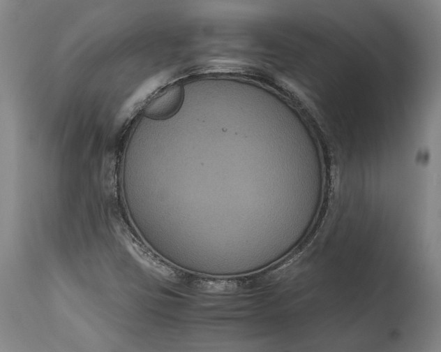 X0000114621403200911101204