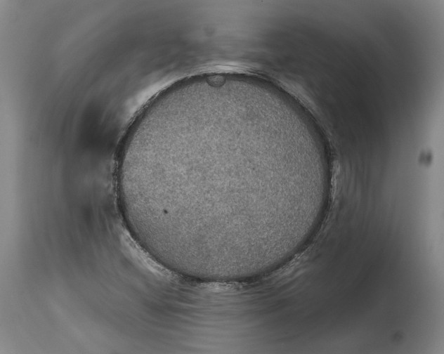 X0000114621404200911101204