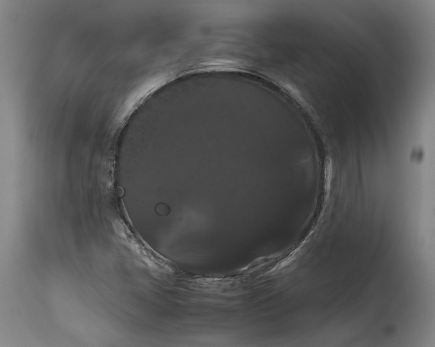 X0000114621405200911101204